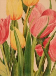 Close up of flowers