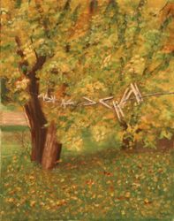 A clothesline with pins with a large tree in the background