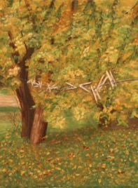 A clothesline with pins with a large tree in the background